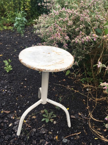 Vintage revolving adjustable - revolving,